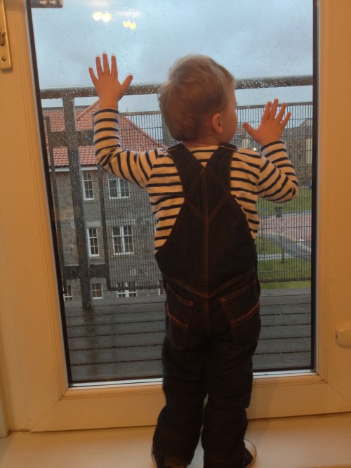 Finlay at window